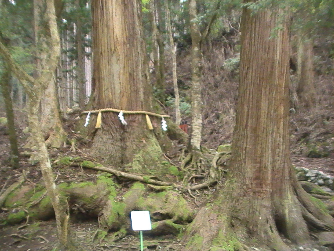 貴船神社の復縁 縁結びご利益は絶大 効果的な参拝方法と口コミ体験談