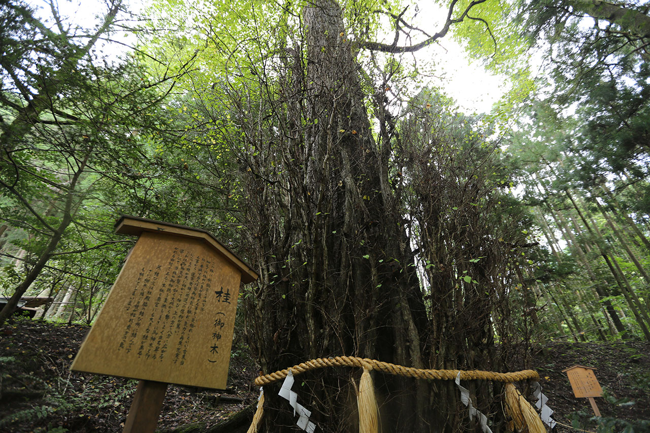 貴船神社の復縁 縁結びご利益は絶大 効果的な参拝方法と口コミ体験談