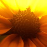 振られたショックから立ち直ったらいいことだらけだった！前向きになれる方法＆復縁エピソード