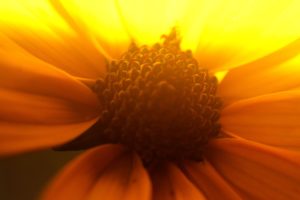 振られたショックから立ち直ったらいいことだらけだった!前向きになれる方法&復縁エピソード