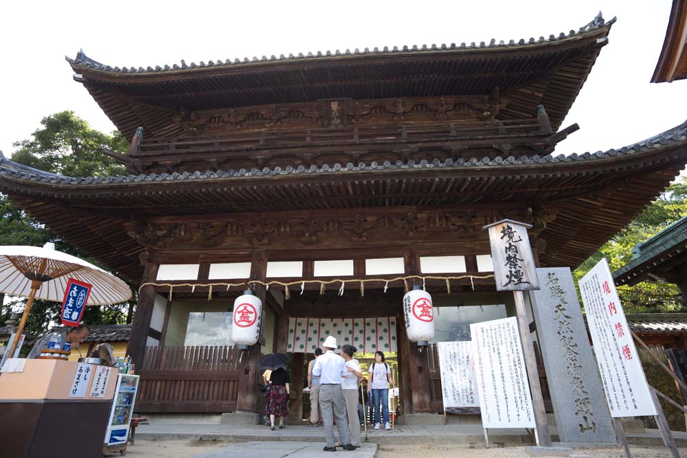 香川の縁結び神社仏閣とパワースポットで恋愛運アップ 映画のロケ地や映えるロケーションで愛を叫ぼう