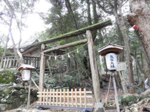気多大社でスピリチュアル体験!縁結び&復縁のご利益+入らずの森で運気アップ
