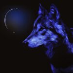 2024年1月26日は今年最初のスーパームーン「ウルフムーン」に何を願う?満月を見る時に注意することや由来&スピリチュアル+おまじない