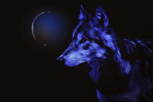 2024年1月26日は今年最初のスーパームーン「ウルフムーン」に何を願う?満月を見る時に注意することや由来&スピリチュアル+おまじない